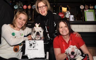 Thank you to the Hampstead Community who raised a whopping £3,000 to help rescue dogs from China!